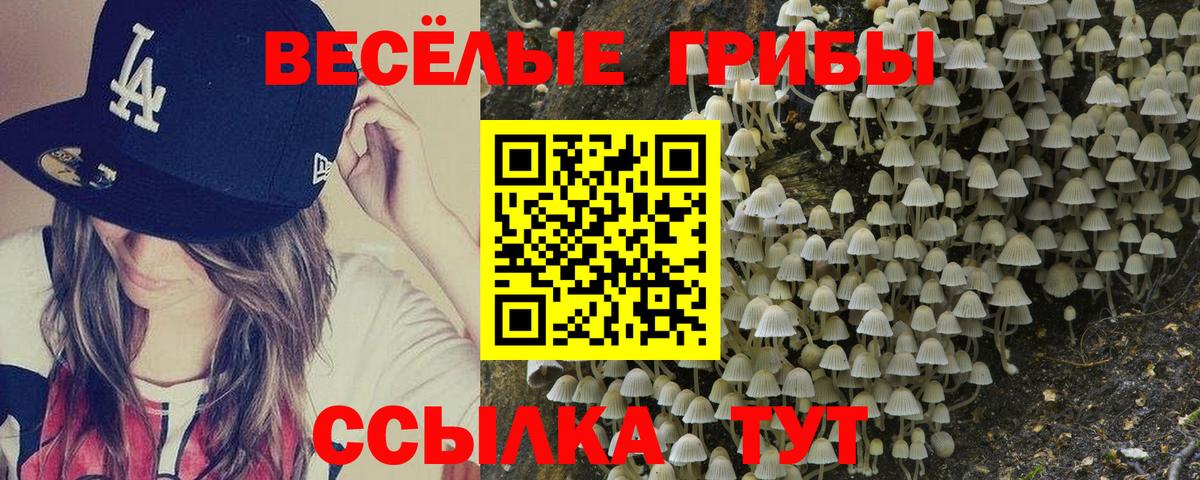 Галлюциногенные грибы GOLDEN TEACHER  Вход с VPN  Барнаул 